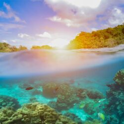 Xirene-Tours-Aquatic-c